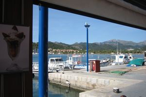 Mallorca 041 port d`Andratx