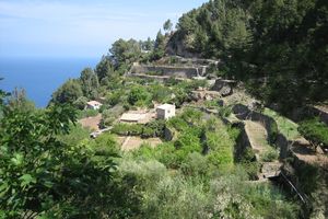 Mallorca 106